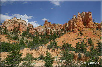 Sandsteinsäulen im Water Canyon